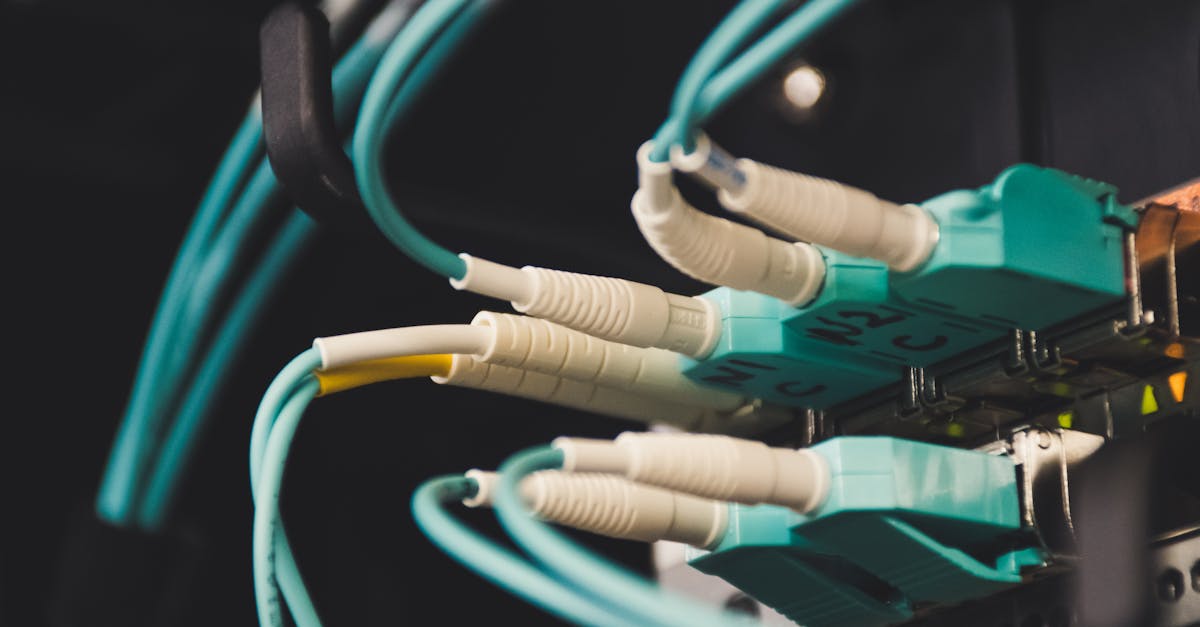découvrez notre guide complet sur l'utilisation des plugs anaux, avec des conseils essentiels pour une expérience sûre et agréable. apprenez les techniques d'insertion, le choix des matériaux et les meilleures pratiques pour explorer de nouvelles sensations.