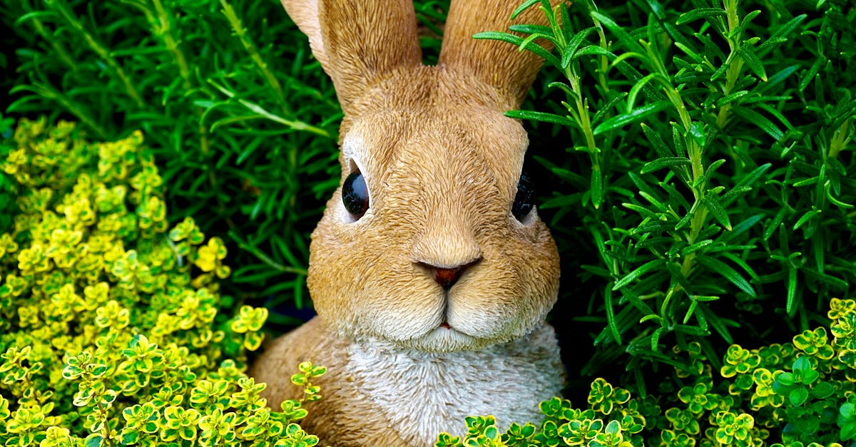 découvrez l'univers fascinant des lapins, ces animaux doux et sociables. apprenez tout sur leur comportement, leur habitat, et les soins nécessaires pour en faire de merveilleux compagnons.