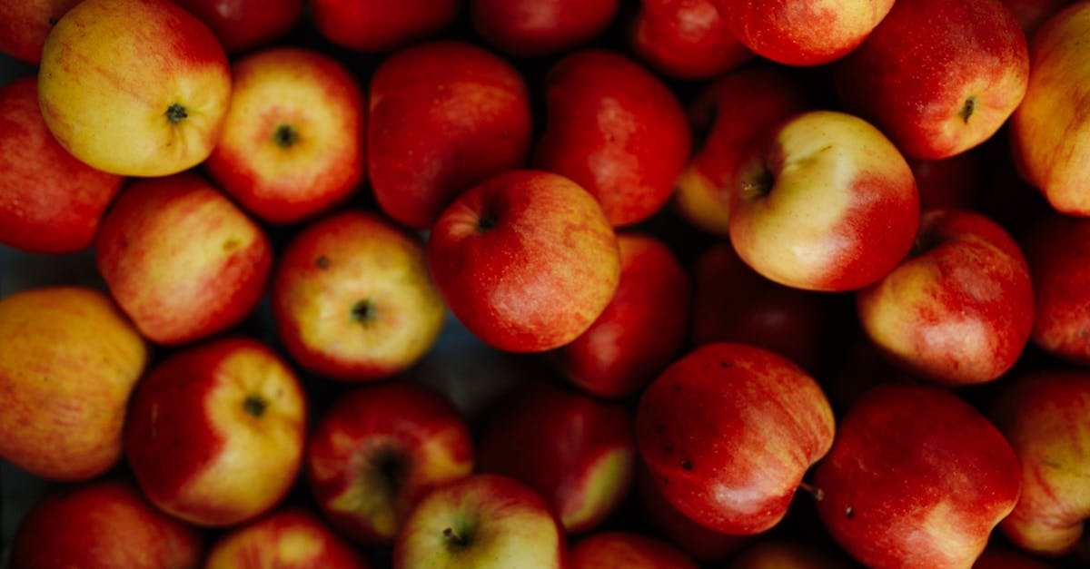 découvrez notre sélection variée de produits et d'options. explorez les différentes variétés qui s'offrent à vous pour répondre à tous vos besoins et envies. que ce soit pour la gastronomie, le jardinage ou d'autres domaines, trouvez l'inspiration et la diversité qui enrichiront votre expérience.