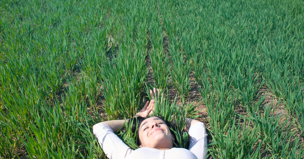 découvrez le plaisir sous toutes ses formes : des moments de détente aux expériences sensorielles qui éveillent vos sensations. plongez dans un univers où le bien-être et la joie s'entrelacent pour vous offrir une escapade inoubliable.