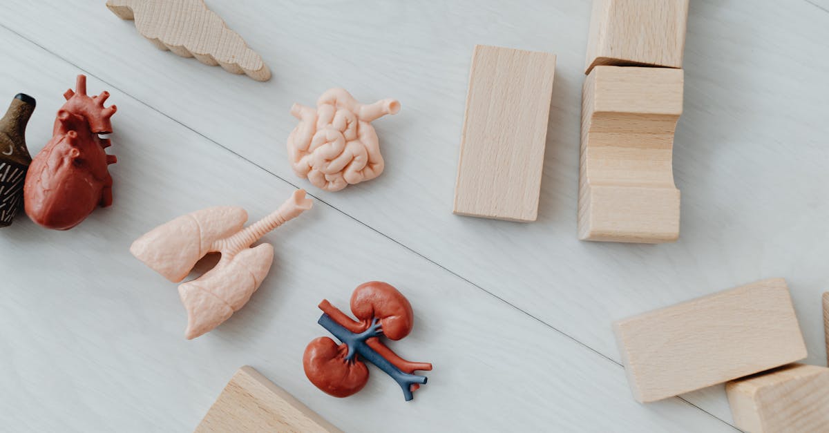 découvrez notre sélection de jouets anaux pour tous les niveaux : débutants ou expérimentés. profitez d’explorations intimes en toute sécurité grâce à des produits de qualité, confortables et discrets.