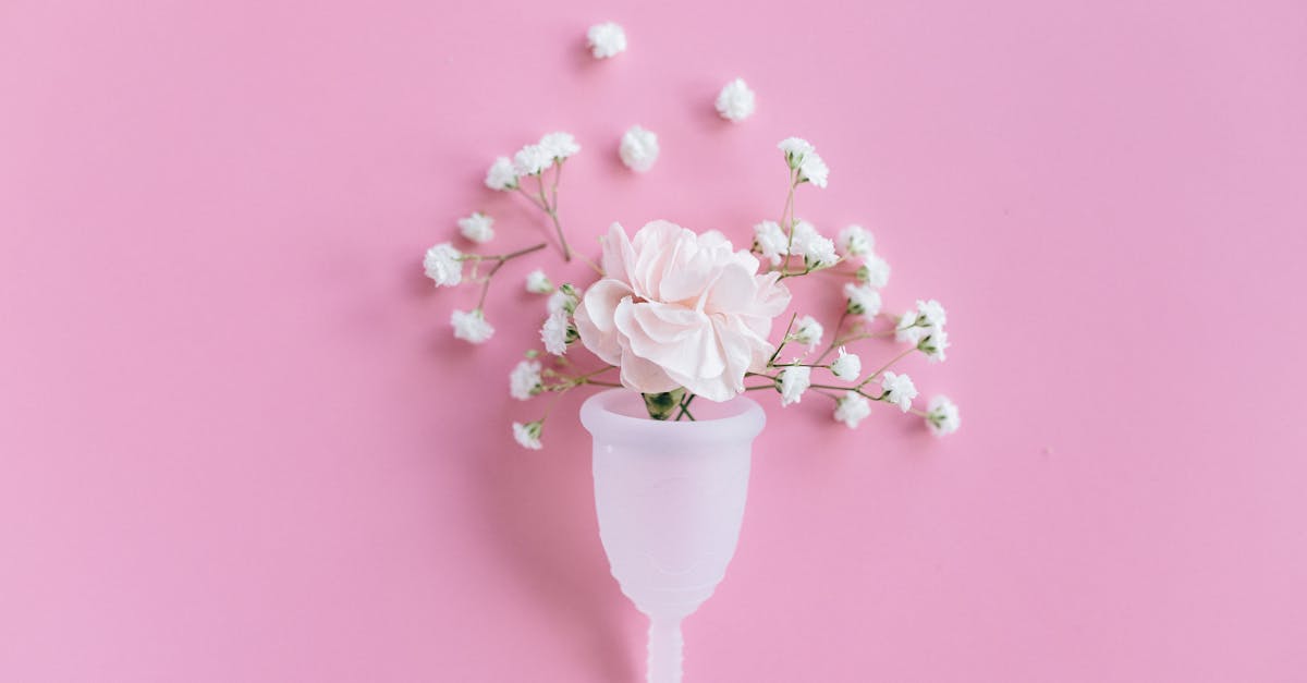 découvrez tout ce qu'il faut savoir sur la stimulation clitoridienne et vaginale : conseils, techniques et bienfaits pour une expérience intime épanouissante et une meilleure connaissance de votre plaisir.