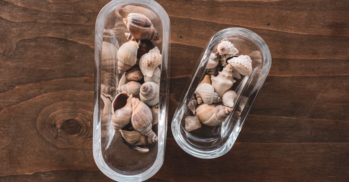découvrez notre sélection de sextoys éco-responsables : des produits respectueux de votre corps et de la planète, conçus avec des matériaux durables et sans substances toxiques. passez au plaisir durable !