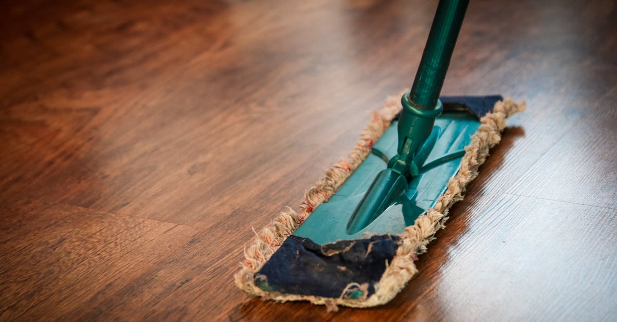 découvrez l'importance de l'hygiène au quotidien, des conseils pratiques pour une vie saine, et des astuces pour maintenir un environnement propre et sûr pour toute la famille.