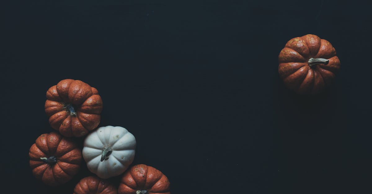 découvrez notre sélection de mini sextoys discrets, efficaces et faciles à utiliser pour des plaisirs intimes en solo ou en couple. idéals pour débutants ou pour explorer de nouvelles sensations.