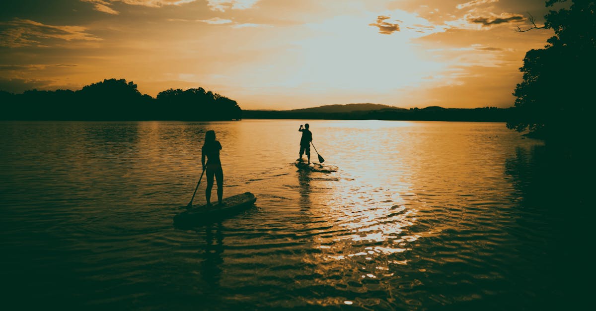 découvrez le paddle, un sport nautique accessible et amusant pour tous. profitez des bienfaits physiques et du plaisir de naviguer en pleine nature, que vous soyez débutant ou confirmé !