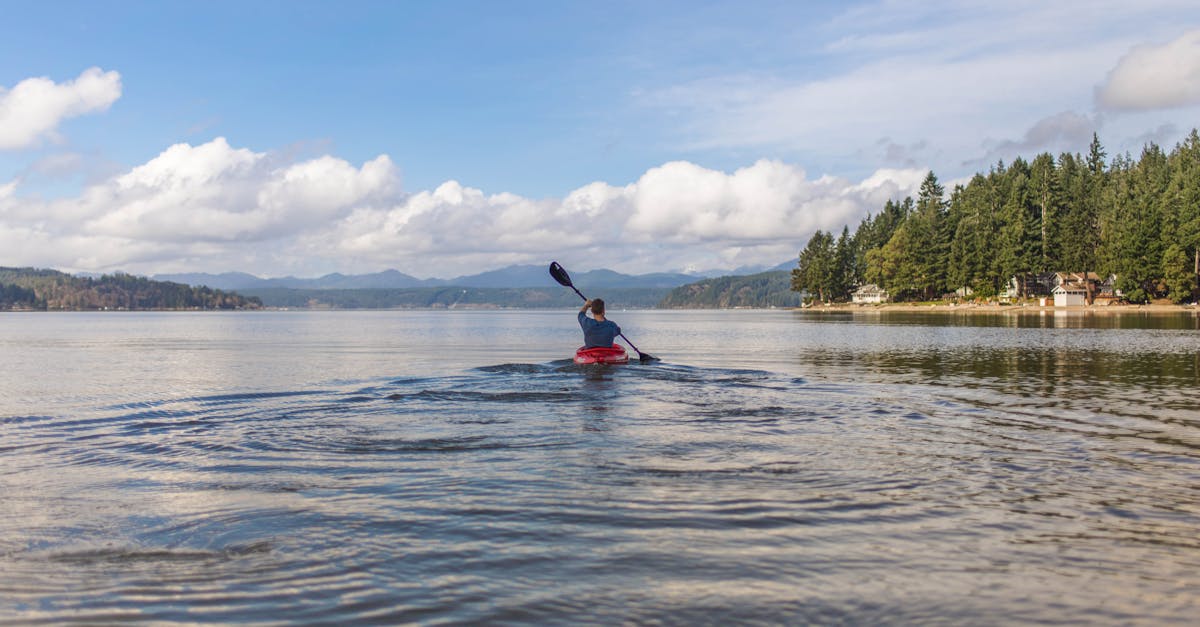 découvrez tout sur le paddle, ce sport de raquette en plein essor ! conseils, règles, équipements et astuces pour débutants et confirmés afin de profiter pleinement de vos parties de paddle.