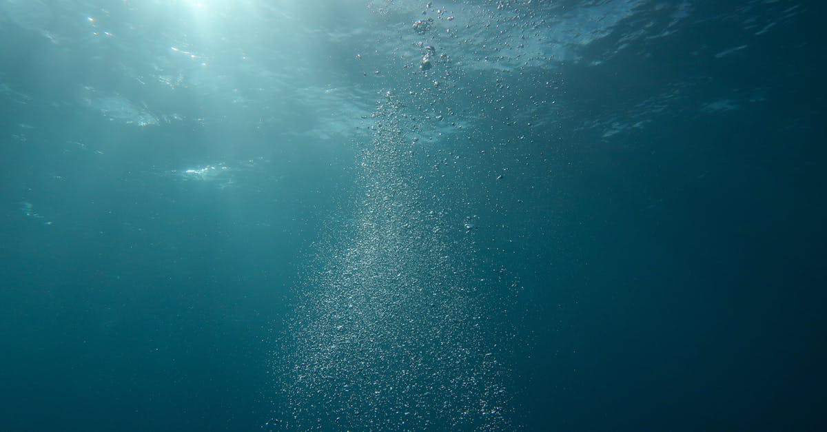 découvrez le sensual diving, une expérience de plongée où la détente, la découverte des fonds marins et une connexion profonde avec l'océan éveillent tous vos sens. plongez autrement, en alliant bien-être et exploration underwater.
