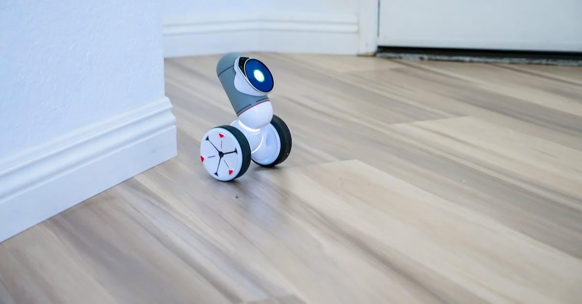 découvrez notre nettoyant pour sex toy, spécialement formulé pour garantir hygiène et sécurité. facile à utiliser, il permet de prolonger la durée de vie de vos accessoires intimes tout en respectant votre peau.