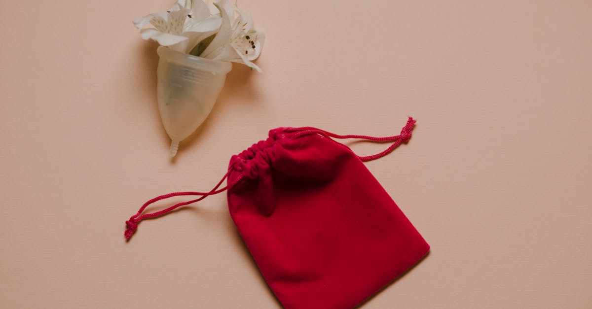 découvrez tout sur la stimulation vaginale : techniques, conseils et informations pour une vie sexuelle épanouie et une meilleure connaissance de son corps.
