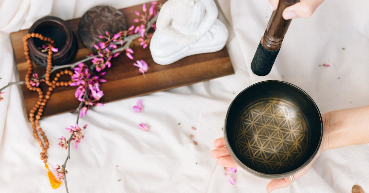 découvrez notre sélection de vibrateurs innovants conçus pour le plaisir et le bien-être. profitez d'une expérience intime sûre, discrète et personnalisée avec des produits de qualité supérieure.